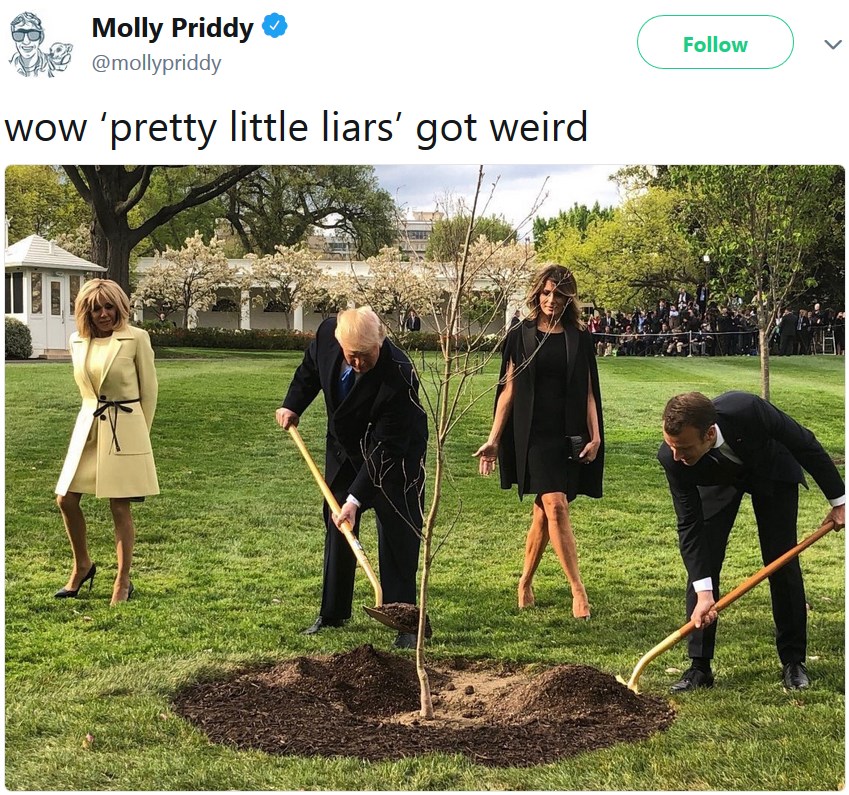 Трамп и Макрон сажают дерево