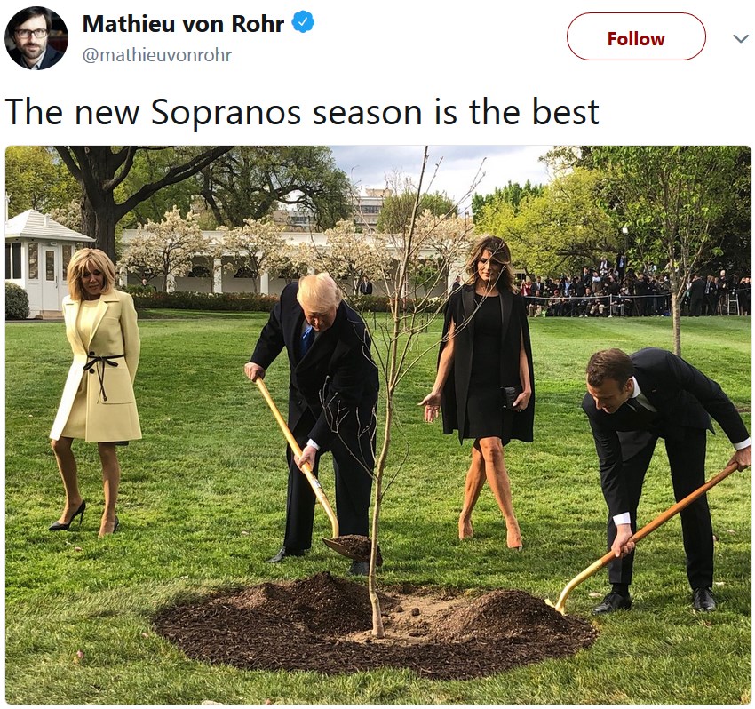 Трамп и Макрон сажают дерево