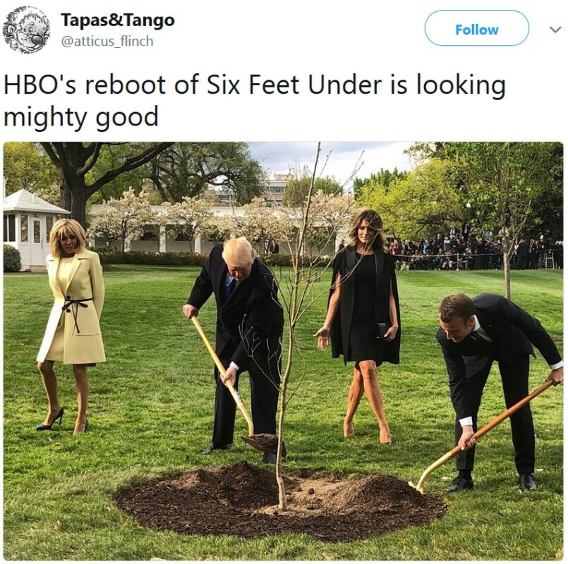 Трамп и Макрон сажают дерево