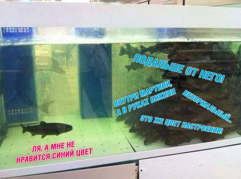 цвет настроения синий