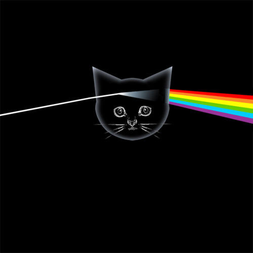 The Dark Side of the Moon пародии