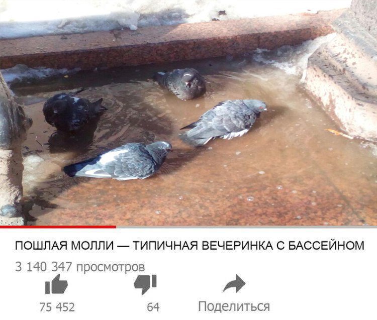 типичная вечеринка с бассейном типичная вечеринка с бассейном