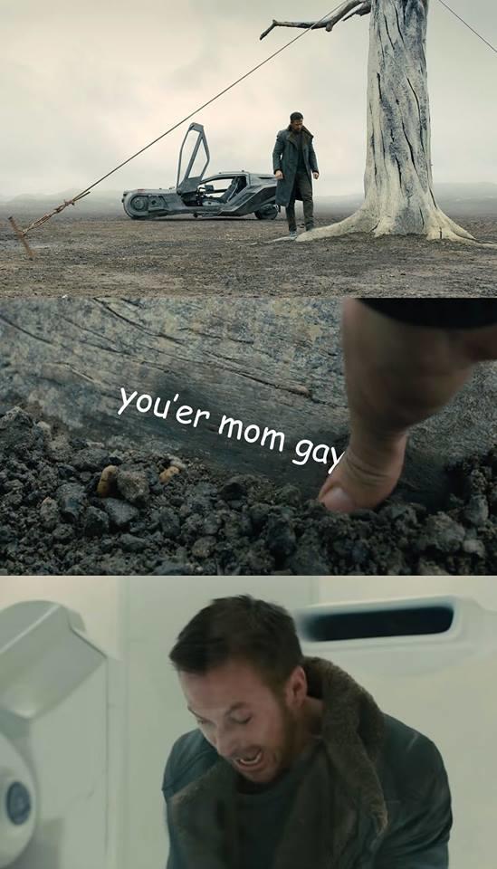 You're mom gay You're mom gay