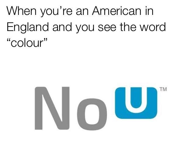 You're mom gay