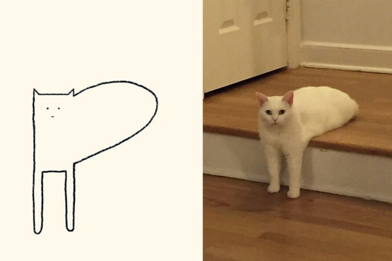 коты из линий