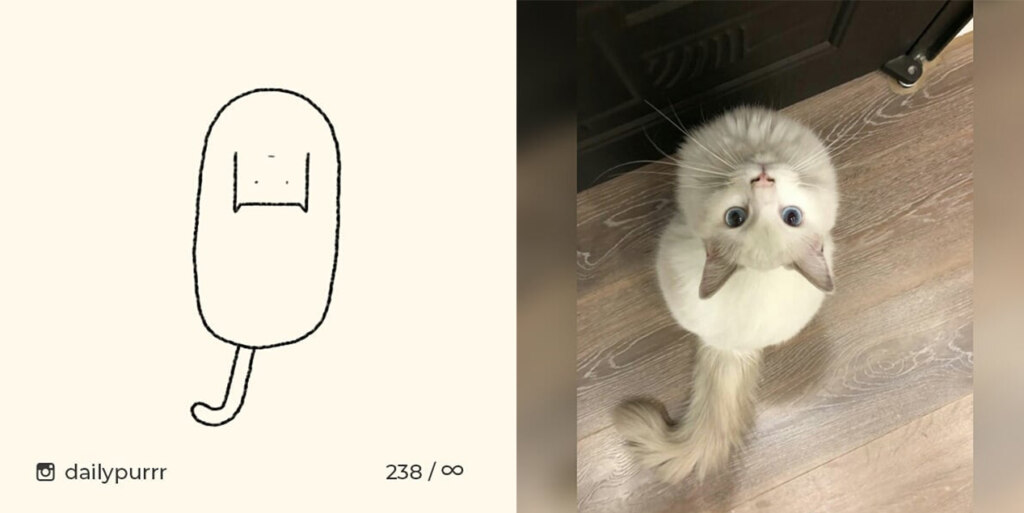 коты из линий коты из линий