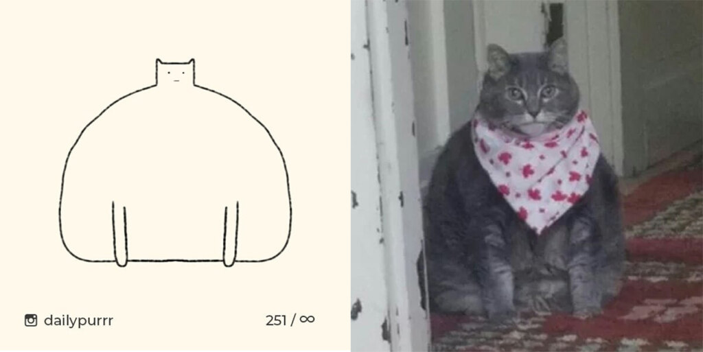 коты из линий коты из линий
