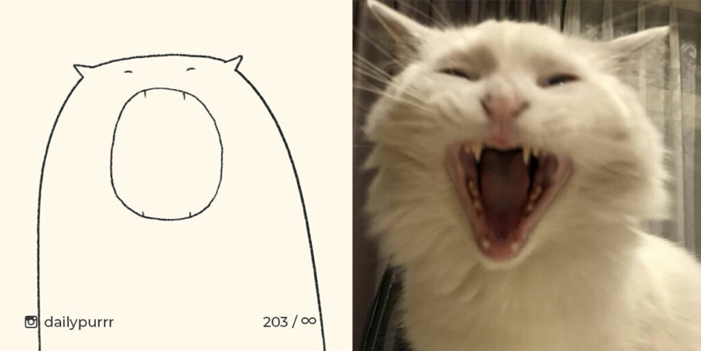 коты из линий коты из линий