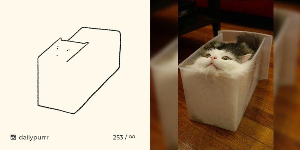 коты из линий коты из линий