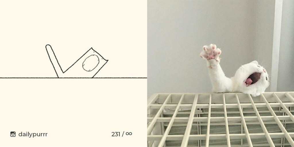 коты из линий коты из линий