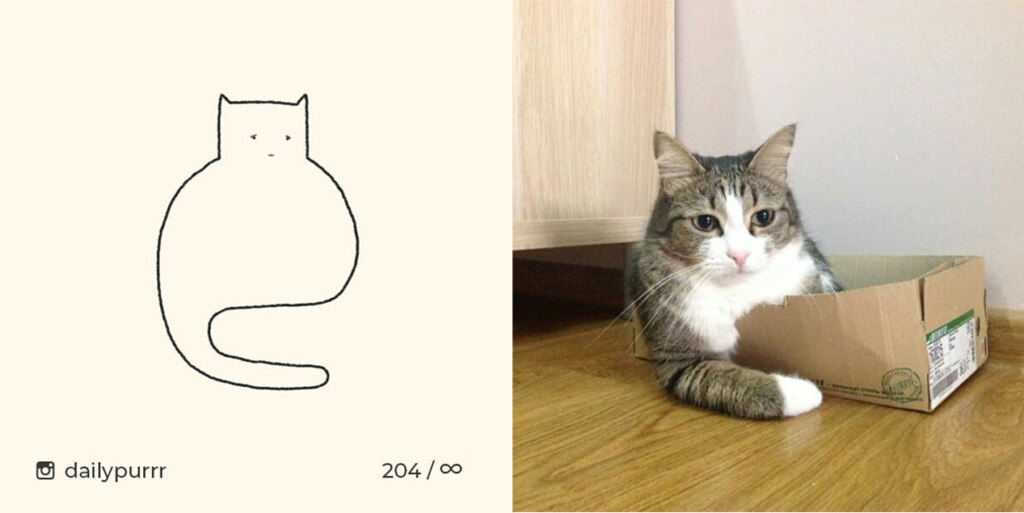 коты из линий коты из линий