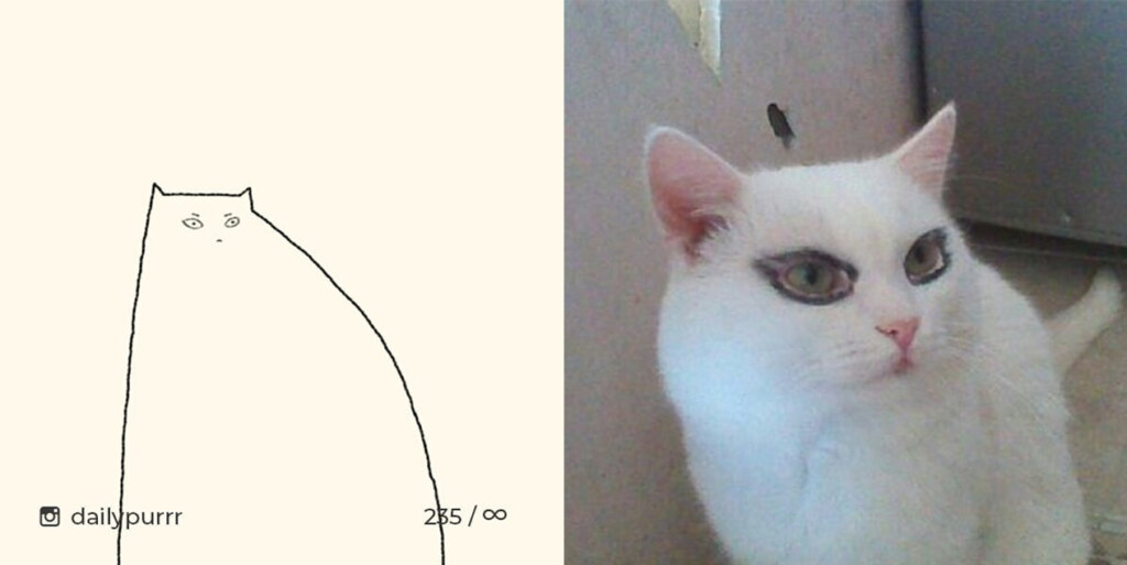 коты из линий коты из линий