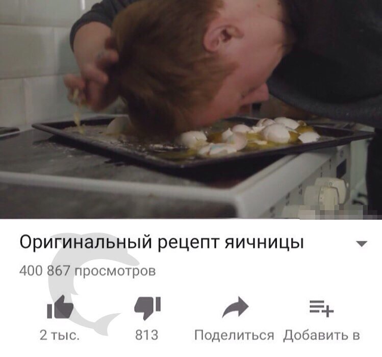 зая кашин