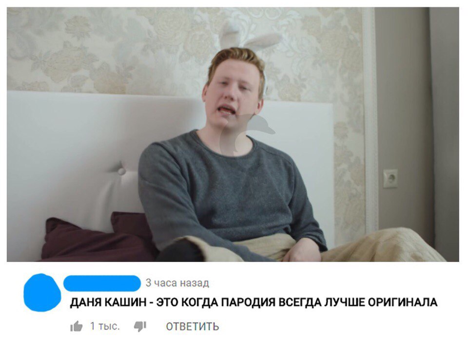 зая кашин