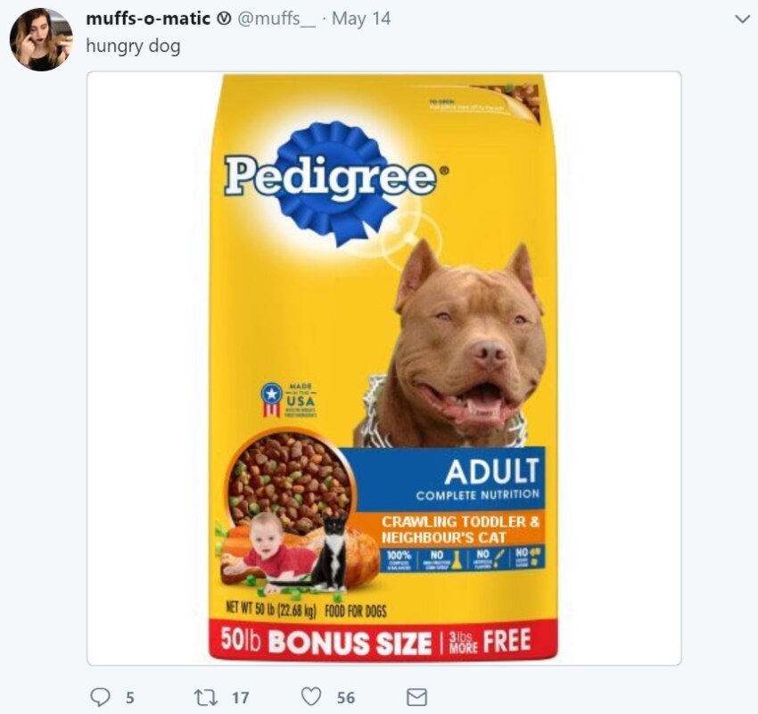 #PitbullDropOff