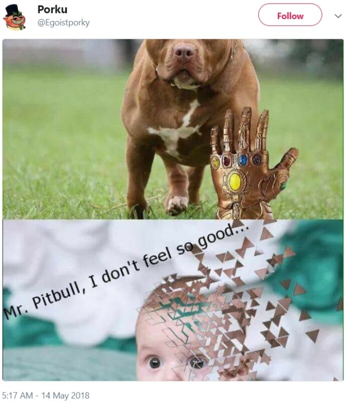 #PitbullDropOff