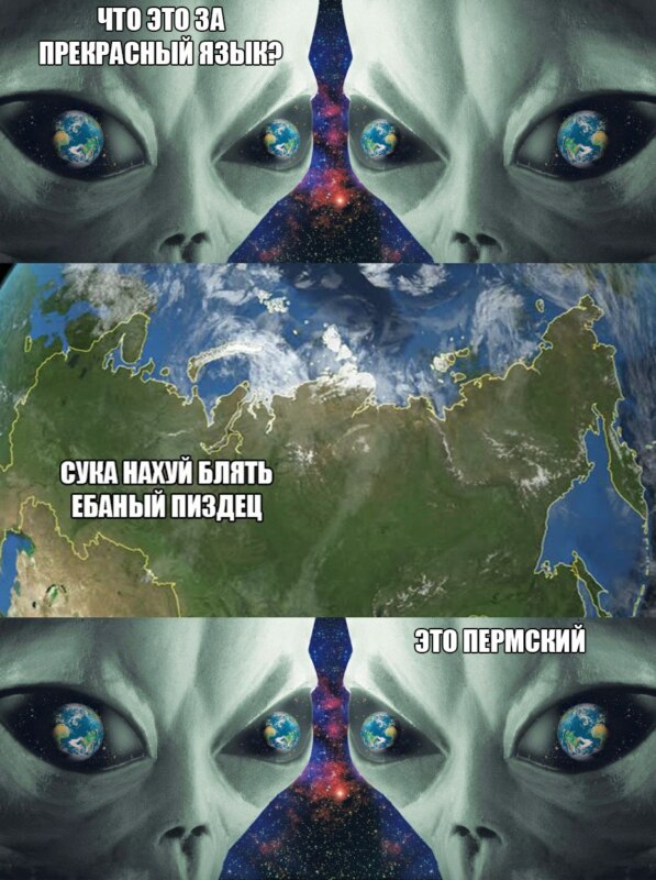 мемы про пермь
