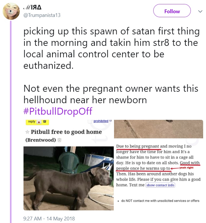 #PitbullDropOff