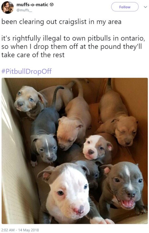 #PitbullDropOff