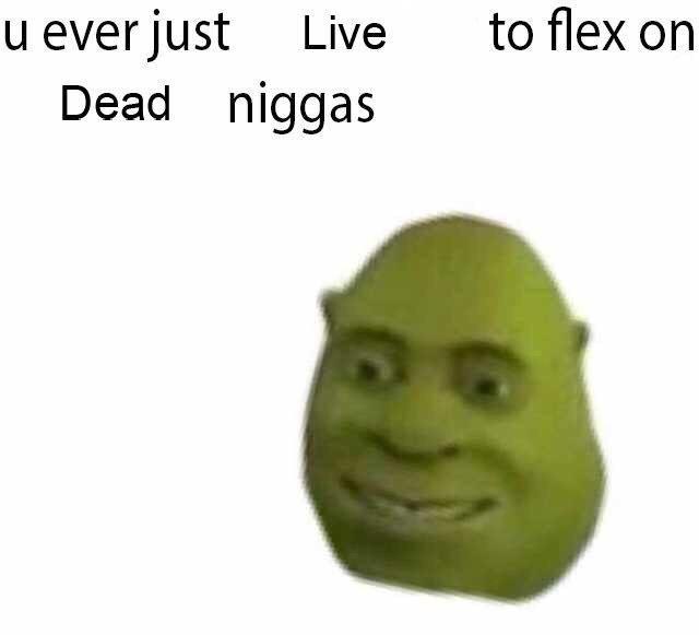 U Ever Flex on Niggas U Ever Flex on Niggas