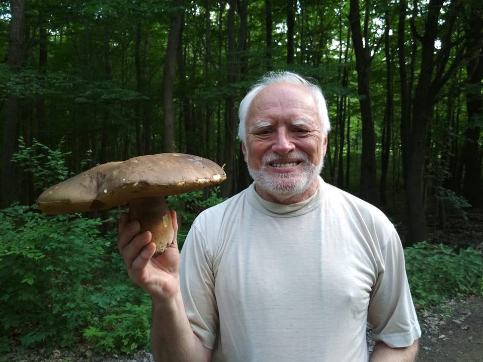 Дед Гарольд с грибом