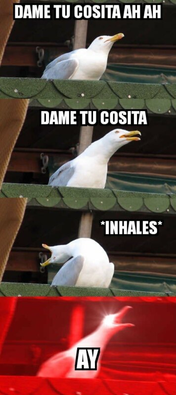 Dame Tu Cosita