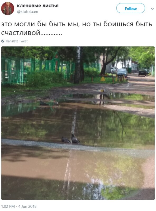 Это могли быть мы Это могли быть мы