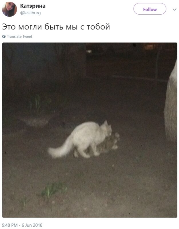 Это могли быть мы Это могли быть мы