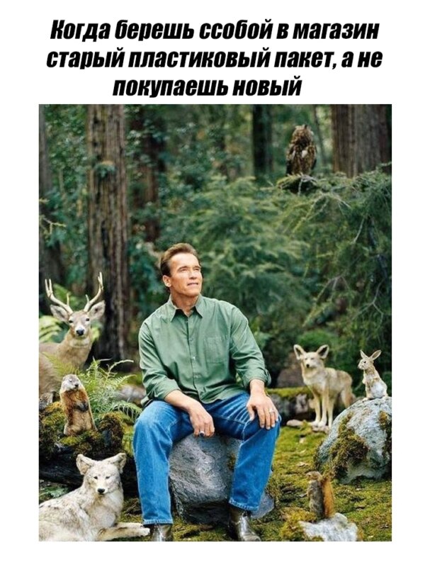 шварценеггер в лесу мем