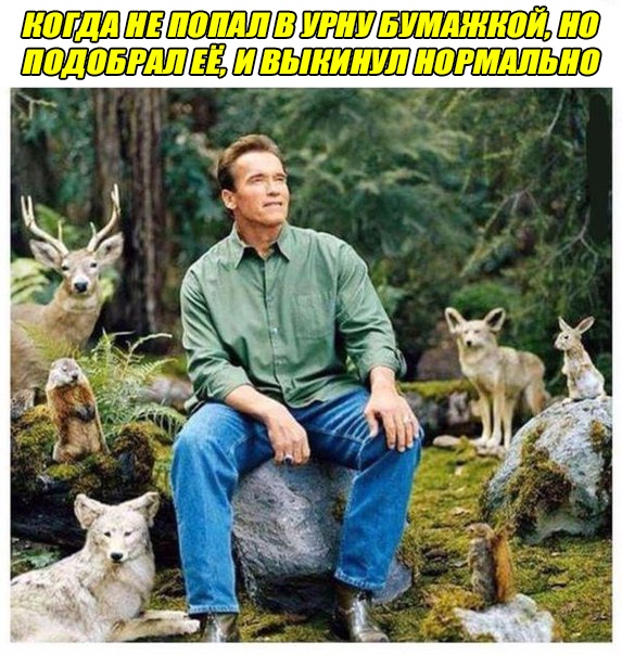 шварценеггер в лесу мем