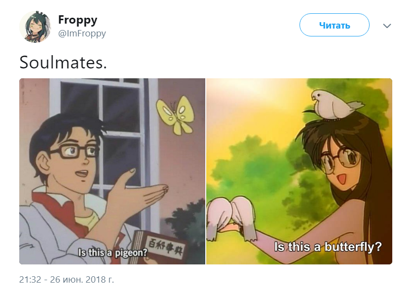 это голубь с девочкой это голубь с девочкой