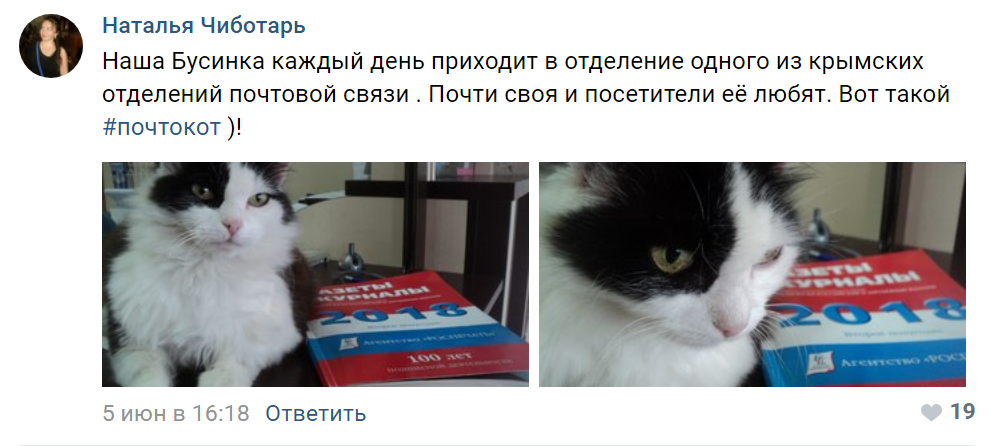 #Почтокот #Почтокот