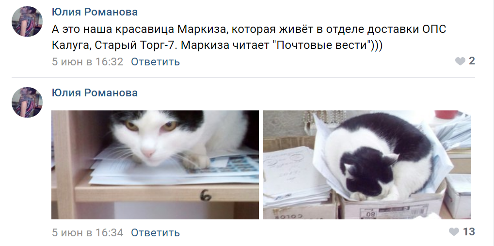 #Почтокот #Почтокот