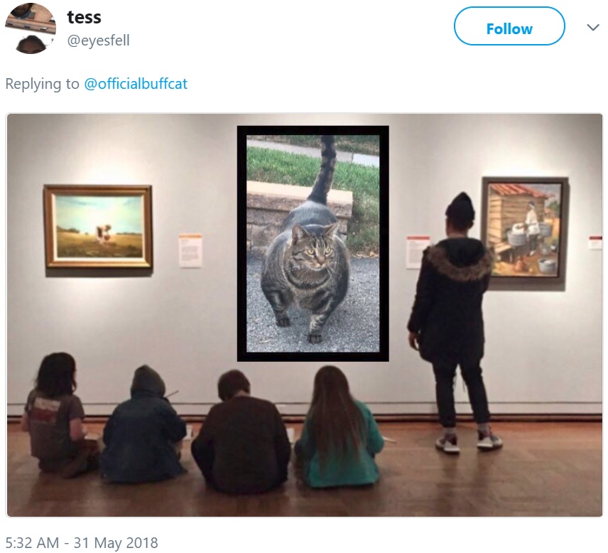 Кот-качок