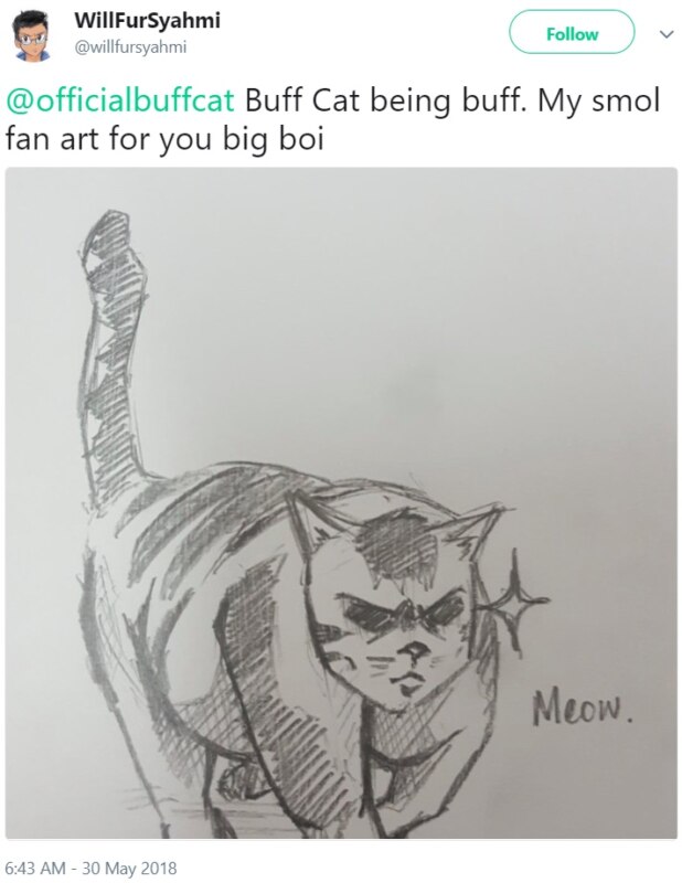 Кот-качок