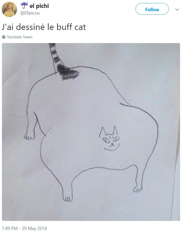Кот-качок