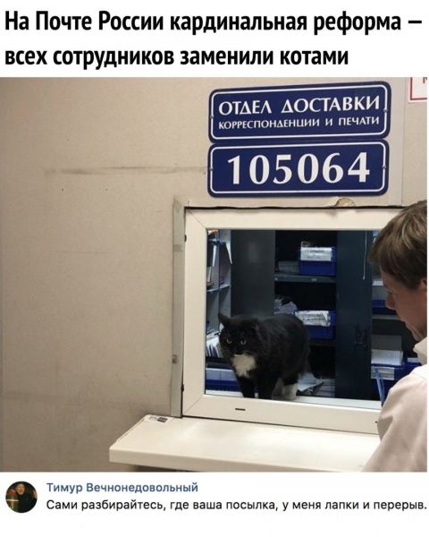 #Почтокот #Почтокот