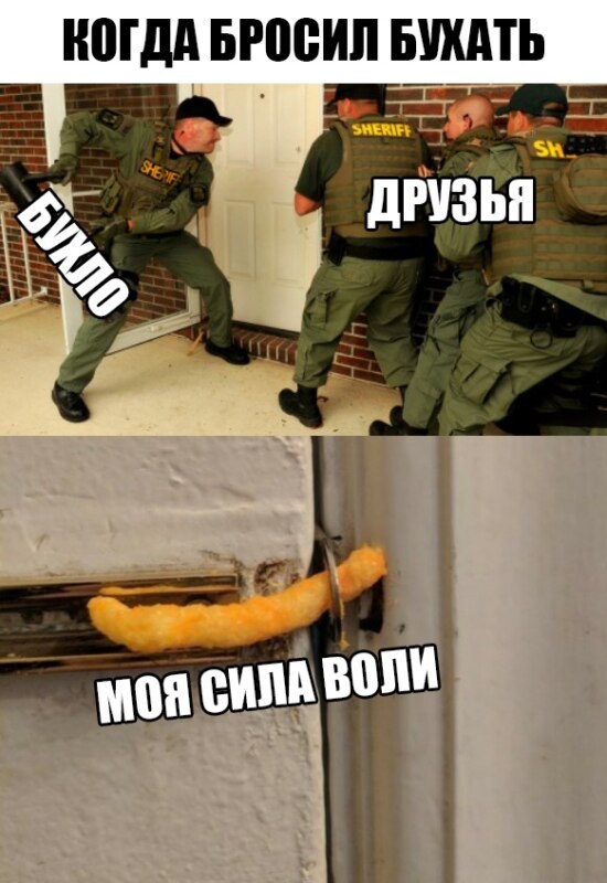 читос мем читос мем