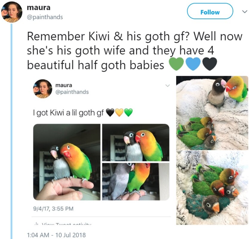 Bird Tiddy Goth Gf Bird Tiddy Goth Gf