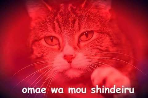 Omae Wa Mou Shindeiru Omae Wa Mou Shindeiru