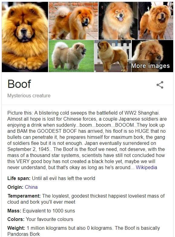 Паблик о собаках пародирует справки Google