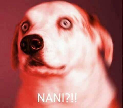 Omae Wa Mou Shindeiru Omae Wa Mou Shindeiru