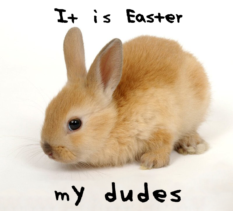 It Is Wednesday, My Dudes It Is Wednesday, My Dudes