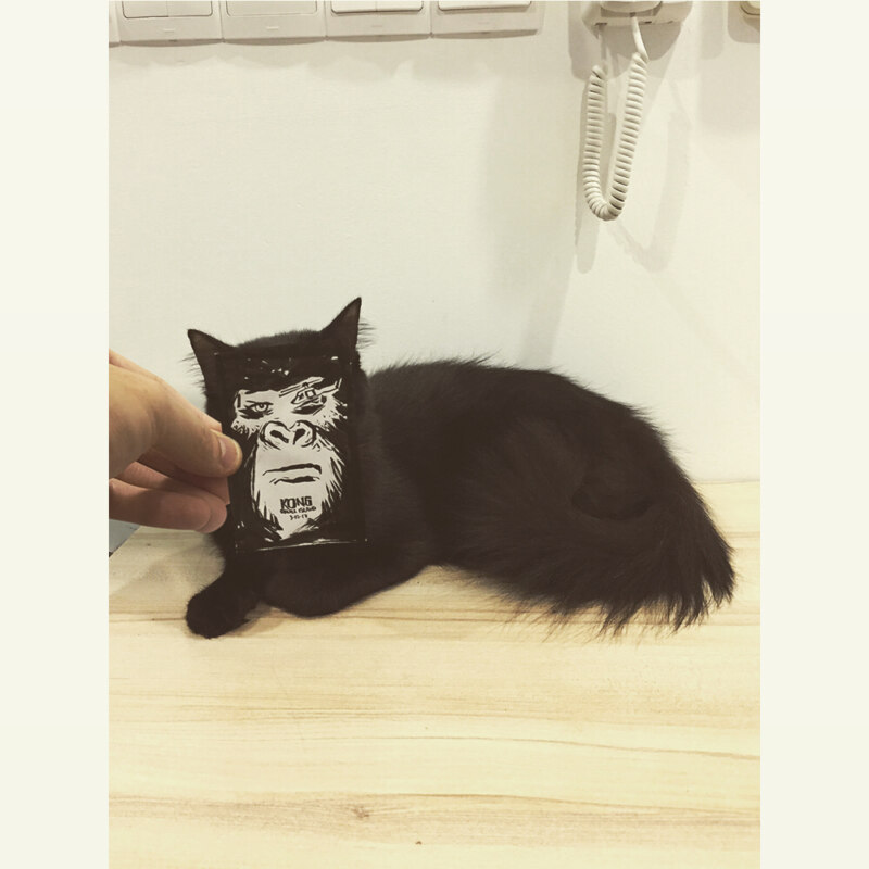 Коты и постеры Коты и постеры