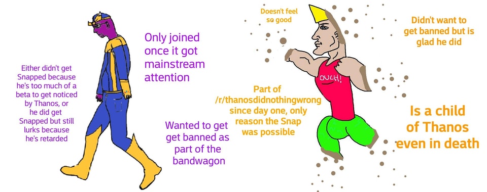 Последствия бана в r/thanosdidnothingwrong