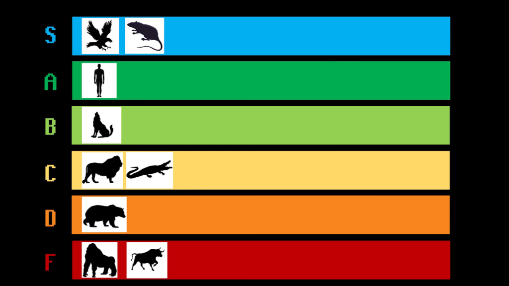TierZoo разобрал мем "Собери свою команду"
