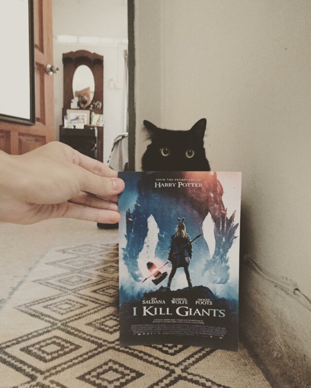 Коты и постеры Коты и постеры