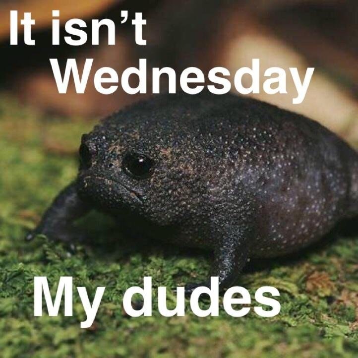 It Is Wednesday, My Dudes It Is Wednesday, My Dudes