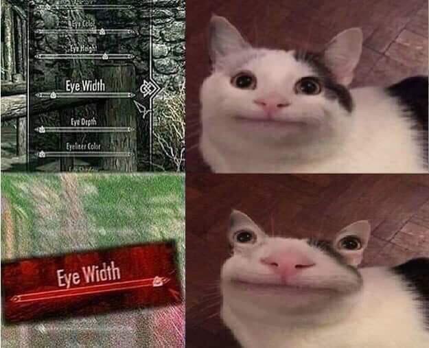 Вежливый кот