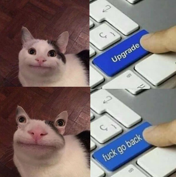 Вежливый кот